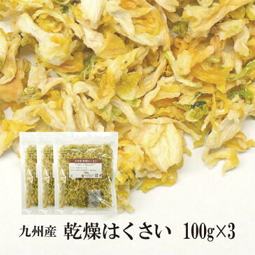 乾燥はくさい100g×3〔チャック付〕/九州産 乾燥野菜 白菜 メール便 送料無料 チャック付 九州産 国産 ボイル済み 保存食 時間短縮 スープ こわけや