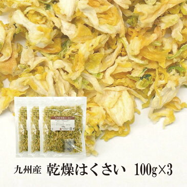 乾燥はくさい100g×3〔チャック付〕／九州産 乾燥野菜 白菜 メール便 送料無料 チャック付 九州産 国産 ボイル済み 保存食 時間短縮 スープ こわけや