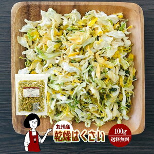 乾燥はくさい100g〔チャック付〕／九州産 乾燥野菜 白菜 メール便 送料無料 チャック付 九州産 国産 ボイル済み ドライベジ アウトドア キャンプ 保存食 時間短縮 スープ こわけや