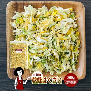 乾燥はくさい 300g〔チャック付〕／九州産 乾燥野菜 白菜 メール便 送料無料 チャック付 九州産 国産 ボイル済み ドライベジ アウトドア キャンプ 保存食 時間短縮 スープ こわけや