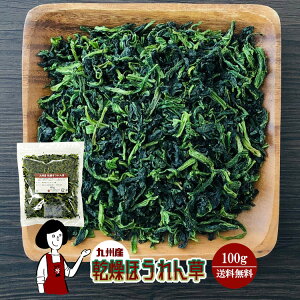 乾燥ほうれん草 100g〔チャック付〕／九州産 乾燥野菜 ホウレン草 メール便 送料無料 チャック付 九州産 国産 ボイル済み ドライベジ アウトドア キャンプ 保存食 時間短縮 スープ こわけや