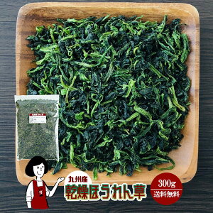 乾燥ほうれん草 300g〔チャック付〕／九州産 乾燥野菜 ホウレン草 メール便 送料無料 チャック付 九州産 国産 ボイル済み ドライベジ アウトドア キャンプ 保存食 時間短縮 スープ こわけや