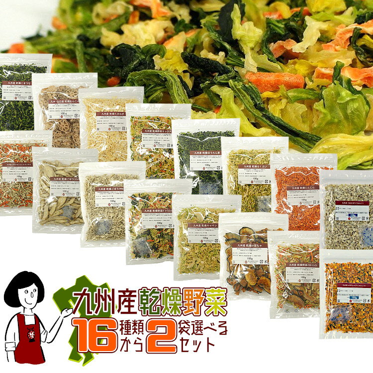 九州産乾燥野菜16種類から2袋(100g×2)選べるセット／オマケ付メール便 送料無料 チャック付 九州産 国産 ボイル済み 保存食 時間短縮 ミックス スープ 小分け こわけや