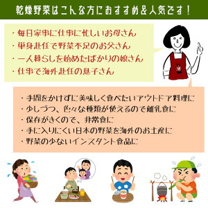 乾燥かぼちゃ100g〔チャック付〕/九州産乾燥野菜南瓜メール便送料無料チャック付九州産国産ボイル済み保存食時間短縮スープこわけや