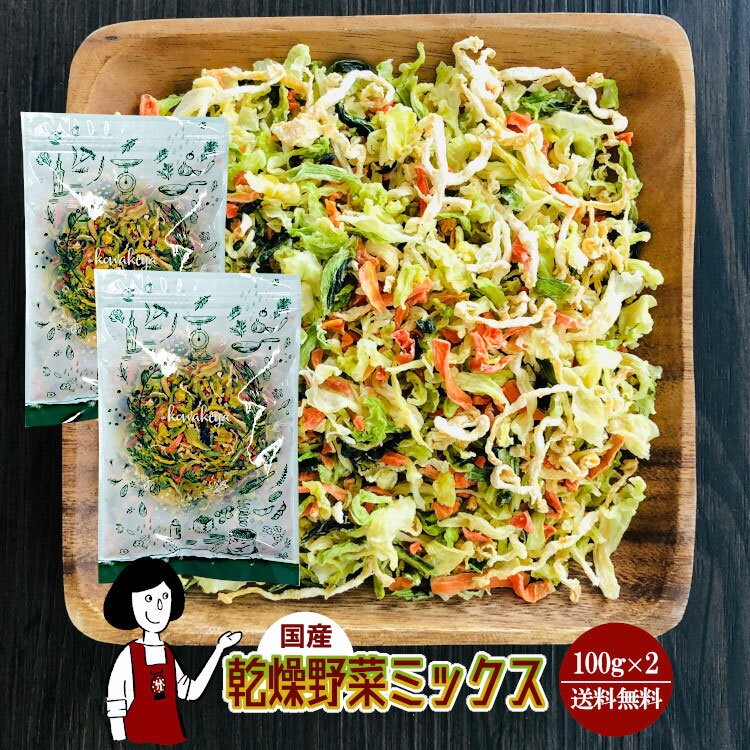 乾燥野菜ミックス 100g 2 計200g 〔チャック付〕／国産 乾燥野菜 きゃべつ 小松菜 大根 人参 メール便 送料無料 チャック付 ミックス ボイル済み ドライベジ アウトドア キャンプ 保存食 時間…