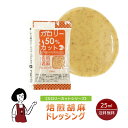 KP カロリーカット 焙煎胡麻ドレッシング 25ml／送料無料 小袋 使いきり ドレッシング 携帯用 アウトドア お弁当 イベント テイクアウト こわけや