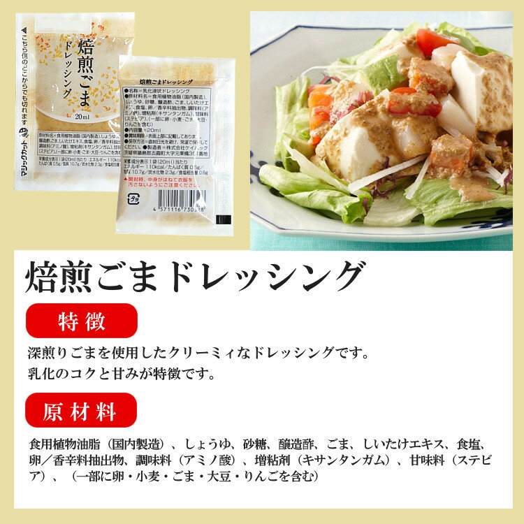 小袋ドレッシングアソート/10種類times;2袋(20袋入)メール便送料無料小袋アソート使いきりドレッシング携帯用アウトドアお弁当イベントこわけや