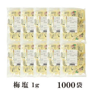 梅塩　1g×1000袋 宅配便 送料無料 小袋 使いきり 調味料 塩 ソルト 梅 梅干し 天ぷら 寿司 焼き鳥 お弁当 イベント 和食 肉料理 野菜料理 魚料理 小分け テイクアウト こわけや