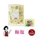 マルニ 梅塩 1g/送料無料 小袋 使いきり 調味料 塩 ソルト 梅 梅干し 天ぷら 寿司 焼き鳥 お弁当 イベント 和食 肉料理 野菜料理 魚料理 小分け テ...