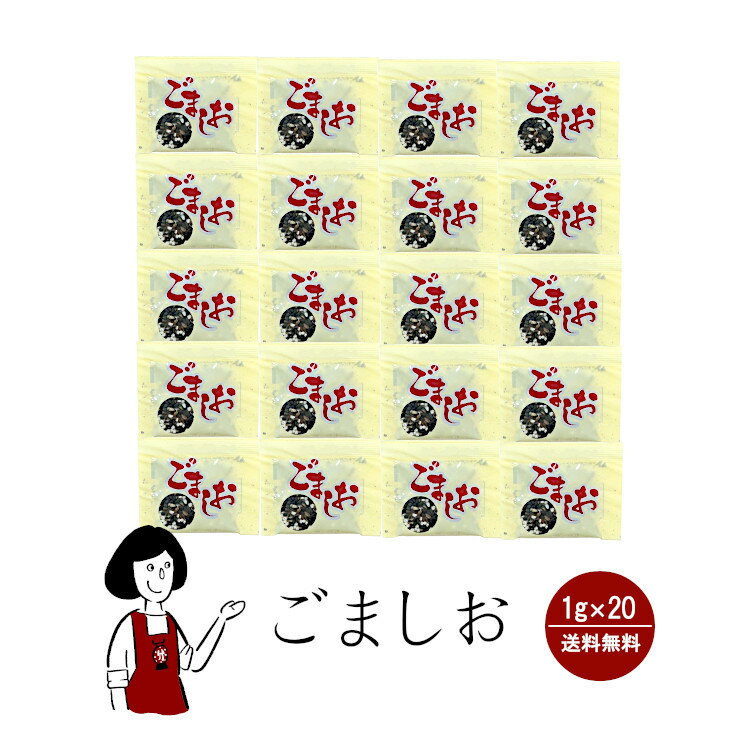 マルニ ごましお 1g×20袋 メール便 送料無料 小袋 使いきり 調味料 塩 黒ごま 赤飯 おにぎり 大学いも アウトドア お弁当 イベント 和食 肉料理 野菜料理 魚料理 小分け テイクアウト こわけや