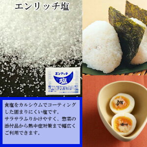 エンリッチ塩2g×1000袋宅配便送料無料小袋使いきり調味料塩アウトドアお弁当イベント和食洋食肉料理野菜料理魚料理BQQ天ぷら小分けこわけや
