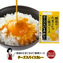 魅惑のたまごかけご飯用ソース チーズスパイスカレー 20g×20袋／メール便 送料無料 小袋 使いきり 調味料 お弁当 イベント 肉料理 野菜料理 魚料理 小分け テイクアウト こわけや