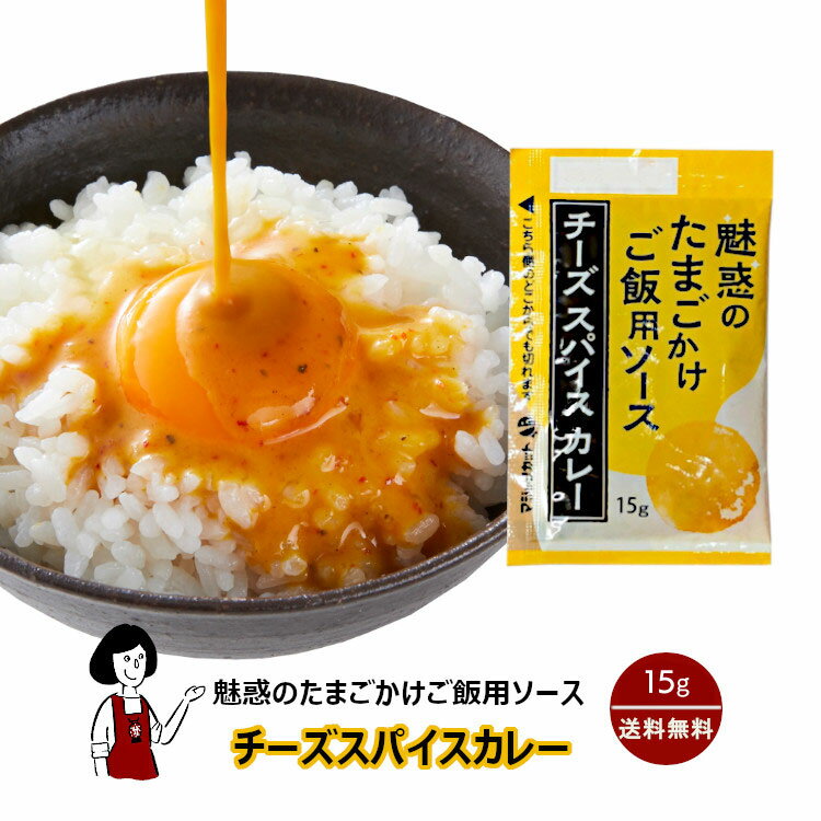 ＜訳あり＞KP 魅惑のたまごかけご飯用ソース チーズスパイスカレー 15g／送料無料 小袋 使いきり 調味料 お弁当 イベント 肉料理 野菜料理 魚料理 小分け テイクアウト こわけや