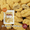 \半額!/ピーカンナッツチョコ《キャラメル》150g〔チャック付〕 送料無料 チャック付 ピーカンナッツ キャラメル チョコレート ペカンナッツ こわけや