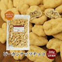 \半額!/ピーカンナッツチョコ《キャラメル》500g〔チャック付〕 送料無料 チャック付 ピーカンナッツ キャラメル チョコレート ペカンナッツ こわけや