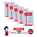 ※<訳あり>グルタミン酸ナトリウム 20kg×5