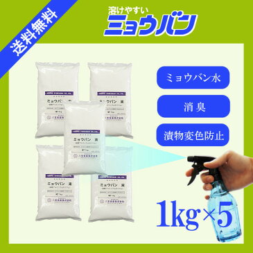 溶けやすいミョウバン　1kg×5 宅配便 送料無料 色落ち防止 アク抜き剤 殺菌 消臭 制汗 デオドラント こわけや