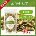 エキナセア 30g メール便 送...