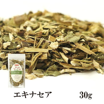 エキナセア 30g メール便 送料無料 チャック付 ノンカフェイン お茶 ハーブティー 製菓 入浴剤 ポプリ ハーブ染 睡眠 むくみ デトックス こわけや