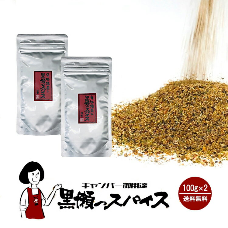 黒瀬食鳥 黒瀬のスパイス 100g ／ 詰め替え用 送料無料 かしわやくろせ アウトドア スパイス 万能調味料 混合調味料 キャンプ バーベキュー BBQ こわけや