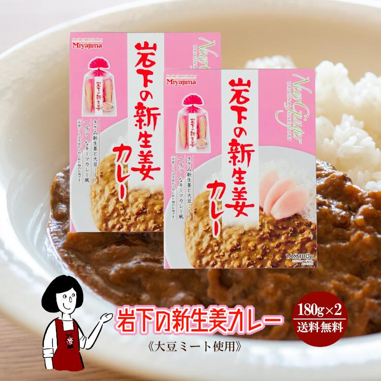 岩下の新生姜カレー《大豆ミート使用》180g×2個／メール便 送料無料 キーマカレー レトルトのサムネイル