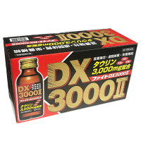 ファイトDX3000II