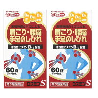 ロスミンS末梢神経のキズからくる手足のしびれ、腰痛に