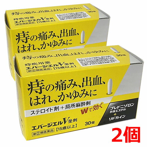 【2個】【第(2)類医薬品】エバージエルV坐剤　30個×2個（品名は伏せて発送いたします）【コンパクト発送】