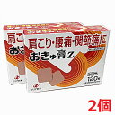 【2個セット・メール便発送・送料無料】【第3類医薬品】おきゅ膏Z 120枚×2個 (おきゅう膏)