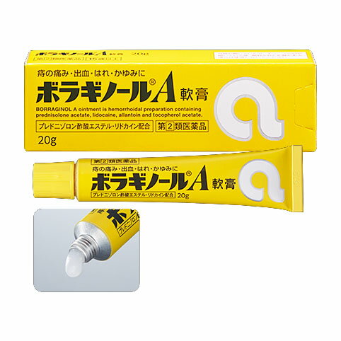 【ゆうメール発送・送料無料】【第2類医薬品】ボラギノールA軟膏　20g 1