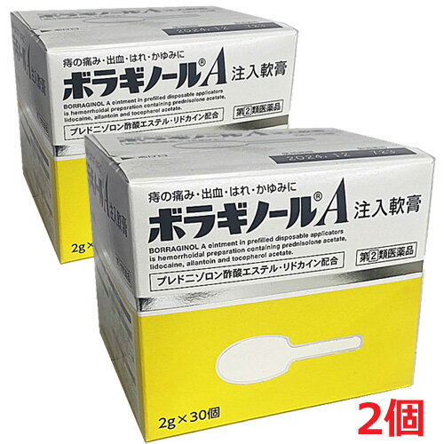 【第(2)類医薬品】【メール便！送料無料！】ボラギノールA　注入軟膏2g×10個　注入剤