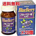 【20個セット】★送料無料★ブルーベリーエキス120 180粒×20個 ホワートルベリー(ビルベリー)使用 【RCP】