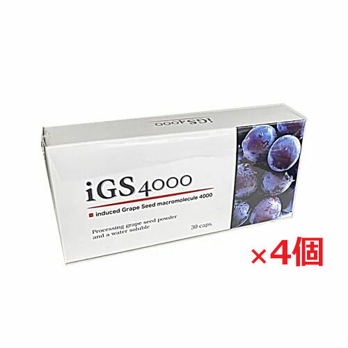 楽天市場】igs4000の通販 楽天市場】igs4000の通販