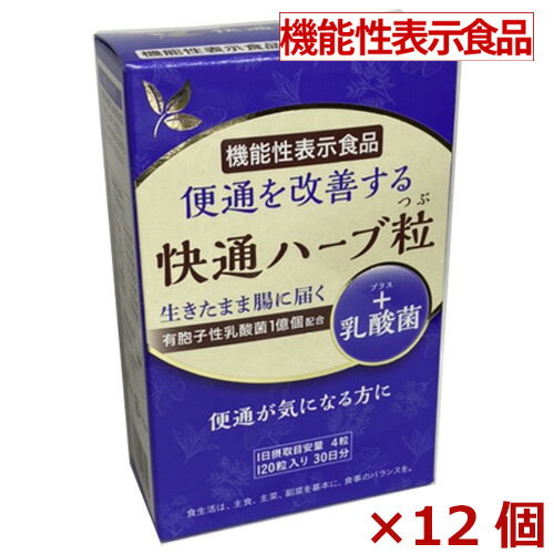 【機能性表示食品】快通ハーブ粒＋乳酸菌 120粒×12個【s-s1】