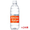 楽天ヘルスケア　コヤマ【1ケース】大塚製薬アミノバリュー4000 500mL×24本1本500ml中にBCAA4000mg＋電解質含有