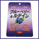 【在庫処分特価・賞味期限は2021年8月3日】ブルーベリー＆ルテイン 32粒北欧産ビルベリー100％使用・長時間パソコンを使用される方に！
