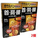 【2個セット】【メール便発送】磁気治療器ガウスバンMAX 24粒×2個(4)
