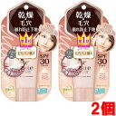 【2個】【メール便発送・送料無料】サナ 毛穴パテ職人 乾燥防止下地 25g×2個