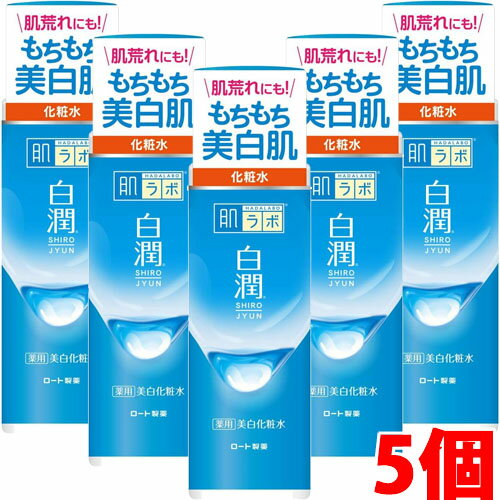 ロート製薬 肌ラボ 白潤薬用美白化粧水 170mL×5個