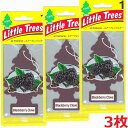 【3枚】【メール便発送】Little Tree リトルツリー 芳香剤 ブラックベリークローブ 1枚×3(3)