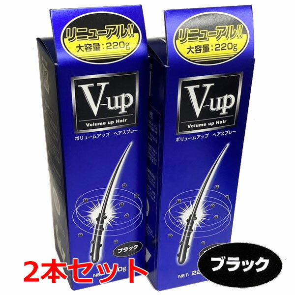 【ブラック】【2本セット】細毛・薄毛をボリュームアップ ピノーレ V−up ヘアスプレー ブラック 220g×2個【増毛スプ…