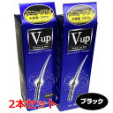 【ブラック】【2本セット】細毛・薄毛をボリュームアップ ピノーレ V−up ヘアスプレー ブラック 220g×2個【増毛スプレー・薄毛用スプレー・薄...
