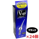 【ブラック】【24本セット】細毛・薄毛をボリュームアップ ピノーレ V−up ヘアスプレー ブラック 220g×24個【増毛スプレー・薄毛用スプレー...
