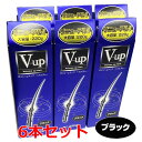 【ランキング受賞商品】【ブラック】【6本セット】細毛・薄毛をボリュームアップ ピノーレ V−up ヘアスプレー ブラック 220g×6個【増毛スプレー・薄毛用スプレー・薄毛隠しスプレー】送料無料