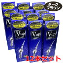 【ダークブラウン】【12本セット】細毛・薄毛をボリュームアップ ピノーレ V−up ヘアスプレー ダークブラウン 220g×12個(薄毛隠しスプレー...