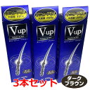 【ダークブラウン】【3本セット】細毛・薄毛をボリュームアップ ピノーレ V−up ヘアスプレー ダークブラウン 220g×3個（薄毛隠しスプレー）【コンビニ受取対応商品】送料無料