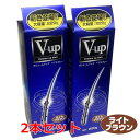 【Lブラウン】【2本セット】細毛・薄毛をボリュームアップ ピノーレ V−up ヘアスプレー ライトブラウン 220g×2本(薄毛隠しスプレー)【コン...