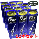 【シルバーグレイ】【12本セット】細毛・薄毛をボリュームアップ ピノーレ V−up ヘアスプレー シルバーグレイ 220g×12本(薄毛隠しスプレー...