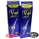 【シルバーグレイ】【2本セット】細毛・薄毛をボリュームアップ ピノーレ V−up ヘアスプレー シルバーグレイ 220g×2本(薄毛隠しスプレー)