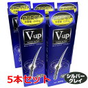 【シルバーグレイ】【5本セット】細毛・薄毛をボリュームアップ ピノーレ V−up ヘアスプレー シルバーグレイ 220g×5本（薄毛隠しスプレー）